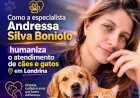 A engenharia por trás do método do Pet Mimoso no mercado de estética de cães e gatos em Londrina